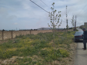 Satılır 20 sot torpaq Novxanı