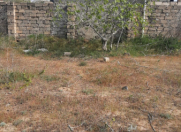 Satılır 5 sot torpaq Gənclik m.