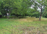 Satılır 30 sot torpaq Qəbələ