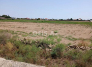 Satılır 50 sot torpaq Ramana