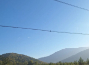 Satılır 10 sot torpaq Quba