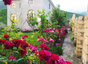 Satılır 9 otaqlı 220 m2 həyət evi Oğuz