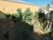 Satılır 2.5 sot torpaq Savalan