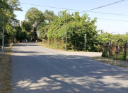 Satılır 30 sot torpaq Qəbələ