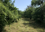 Satılır 16 sot torpaq Quba