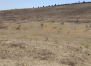 Satılır 10 sot torpaq Novxanı