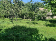 Satılır 30 sot torpaq Qəbələ