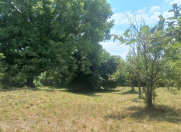 Satılır 20 sot torpaq Qəbələ