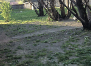 Satılır 6 sot torpaq Qəbələ