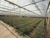 Satılır 6 otaqlı 6500 m2 obyekt Türkan