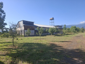 Satılır 67 sot torpaq Zaqatala