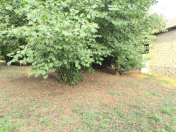 Satılır 45 sot torpaq Qəbələ