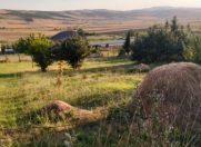 Satılır 10 sot torpaq İsmayıllı