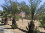 Satılır 16 sot torpaq Şüvəlan