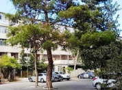 Satılır 1 otaqlı 40 m2 köhnə tikili Bakıxanov