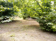 Satılır 18 sot torpaq Xaçmaz