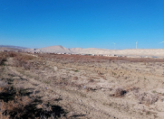 Satılır 315 sot torpaq Perekeşkül