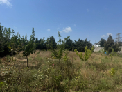 Satılır 38 sot torpaq Şağan