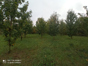 Satılır 8 sot torpaq Quba