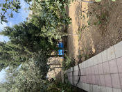 Satılır 3 sot torpaq Mehdiabad