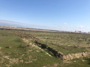 Satılır 450 sot torpaq Məhəmmədli