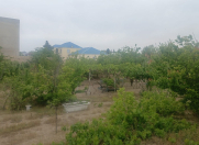 Satılır 4 sot torpaq Novxanı