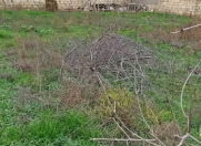 Satılır 6 sot torpaq Sumqayıt