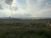 Satılır 100 sot torpaq Novxanı