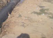 Satılır 6 sot torpaq Binəqədi