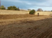 Satılır 12 sot torpaq Qala