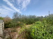 Satılır 10 sot torpaq Saray