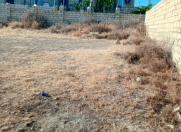 Satılır 5 sot torpaq Saray