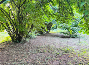 Satılır 6 sot torpaq İsmayıllı