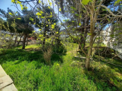 Satılır 8 sot torpaq Badamdar