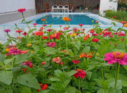 İcarəyə verilir 3 otaqlı 120 m2 həyət evi Qax