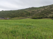 Satılır 50 sot torpaq Quba