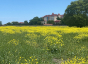 Satılır 400 sot torpaq Xaçmaz