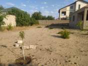 Satılır 5 otaqlı 180 m2 bağ evi Albalı