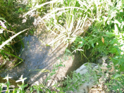 Satılır 3 sot torpaq Xaçmaz