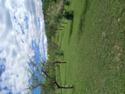 Satılır 1000 sot torpaq Quba