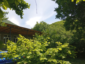 İcarəyə verilir 4 otaqlı 100 m2 bağ evi Şəki