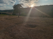 Satılır 20 sot torpaq Quba