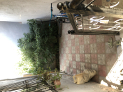 Satılır 3 otaqlı 90 m2 həyət evi Xırdalan