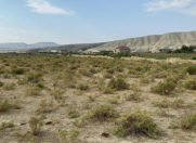 Satılır 120 sot torpaq Perekeşkül