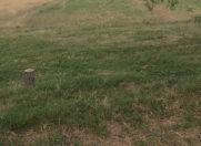 Satılır 5000 sot torpaq Bərdə