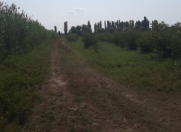 Satılır 300 sot torpaq Xaçmaz