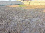 Satılır 12 sot torpaq Şüvəlan