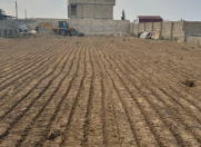 Satılır 12 sot torpaq Nardaran