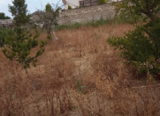 Satılır 5.8 sot torpaq Bilgəh