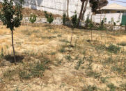 Satılır 4 sot torpaq Badamdar